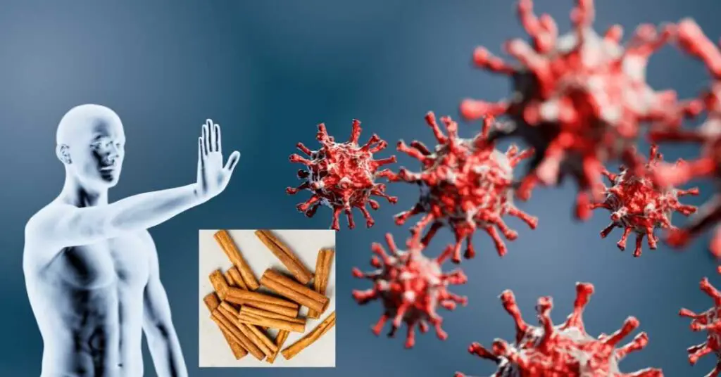 Does cinnamon boost the immune system