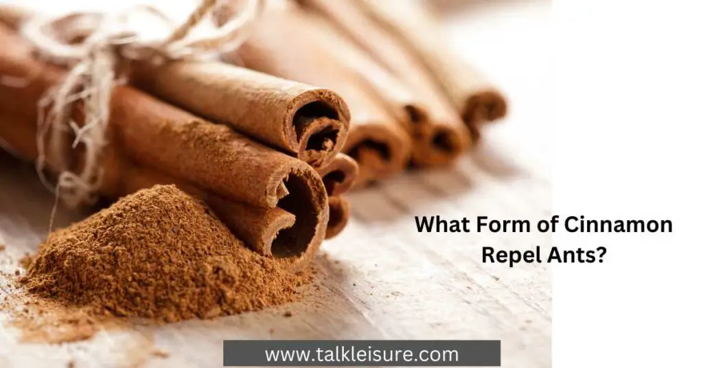 What Form of Cinnamon Repel Ants?