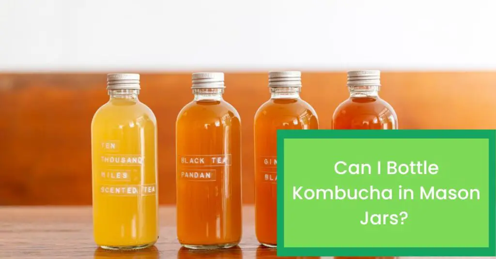 Can I Bottle Kombucha in Mason Jars? Things You Should Know About Bottling Kombucha in Mason Jars