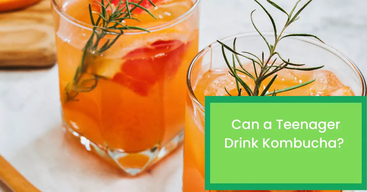 Can a Teenager Drink Kombucha? Read This to Find Out Whether Kombucha