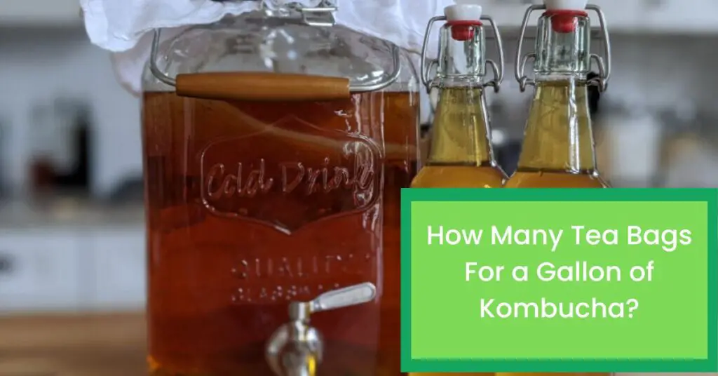 How Many Tea Bags For a Gallon of Kombucha? Read This Know About The Amount of Tea For a Gallon of Kombucha