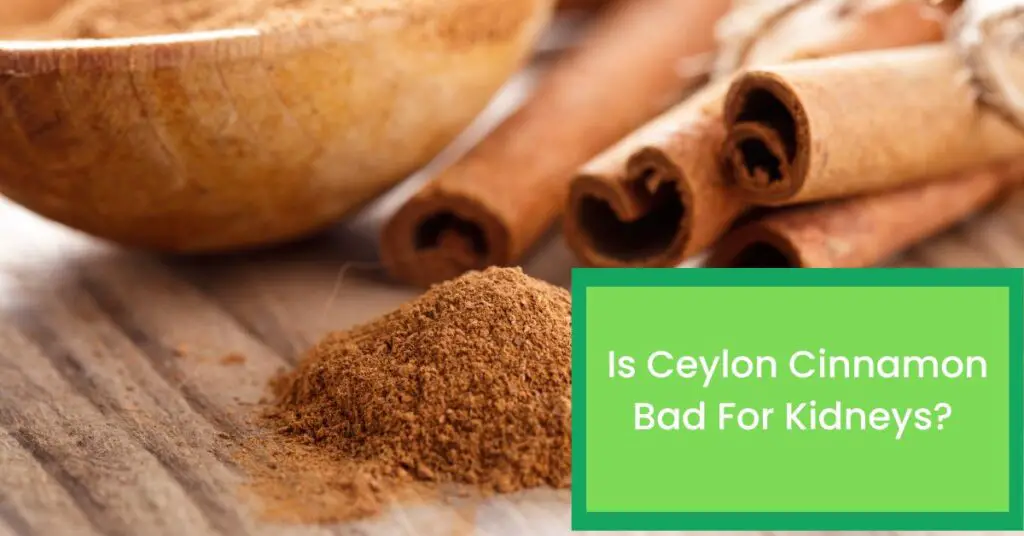 Is Ceylon Cinnamon Bad For Kidneys? Things You Should Know About The Impact of Ceylon Cinnamon For Kidneys