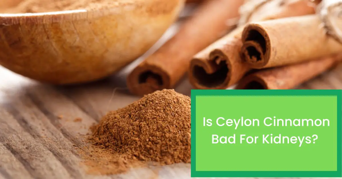 is-ceylon-cinnamon-bad-for-kidneys-things-you-should-know-about-the