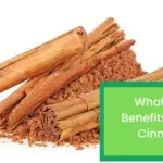 What Are The Benefits of Ceylon Cinnamon (1)
