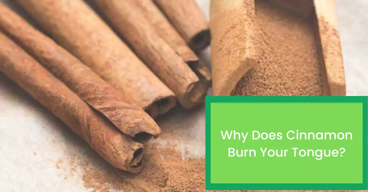 Why Does Cinnamon Burn Your Tongue Talk Leisure