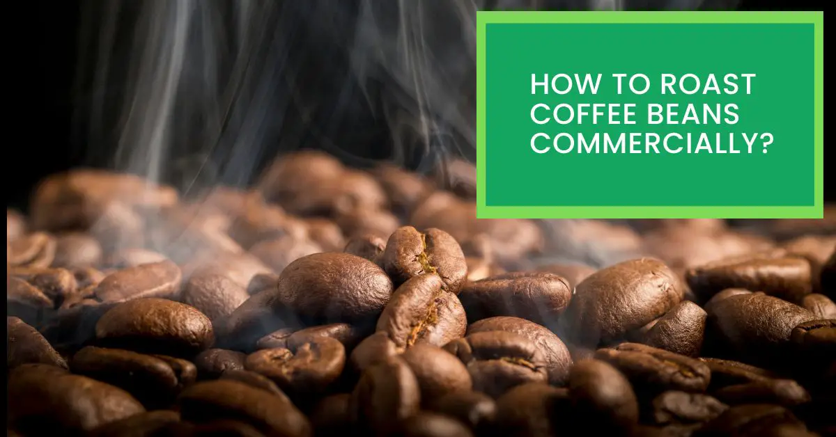 How to Roast Coffee Beans Commercially? Things You Need to Know About