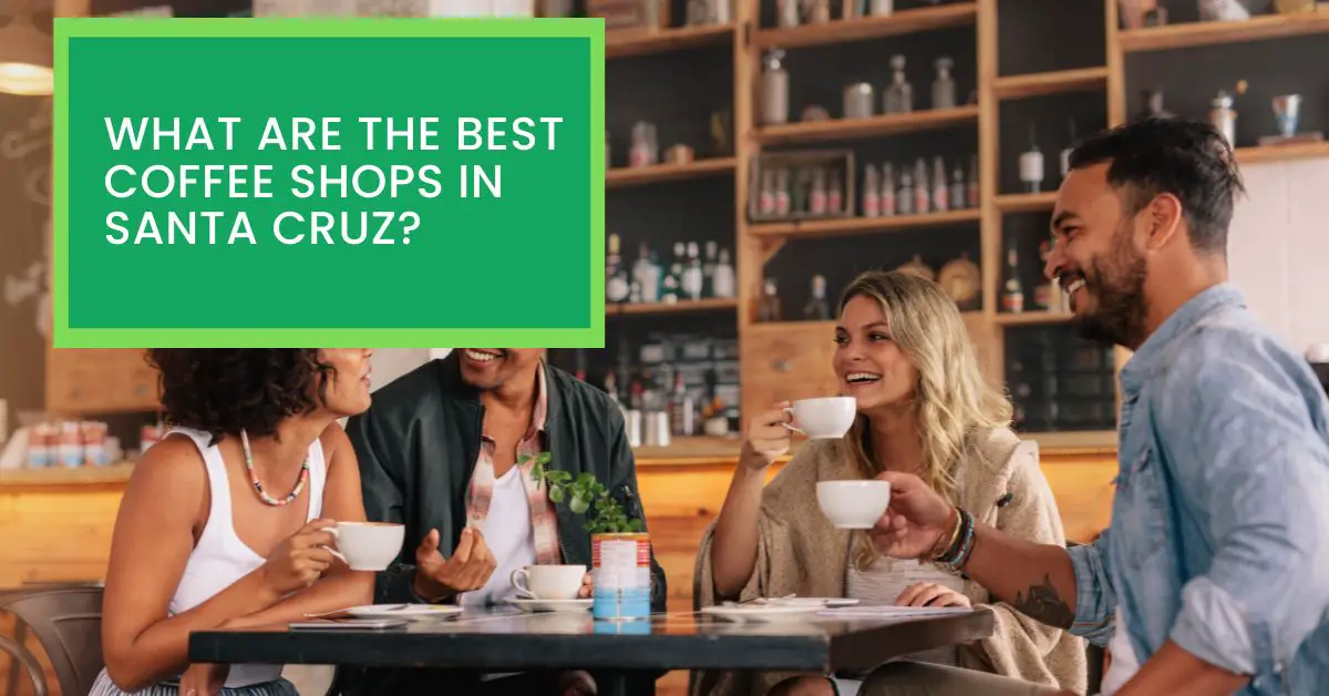 What Are The Best Coffee Shops in Santa Cruz? Read This to Find Out The