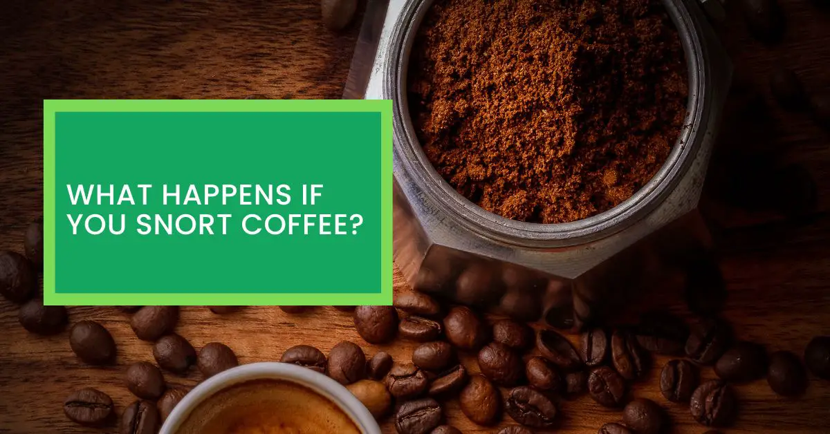 What Happens if You Snort Coffee? Read This Before Snorting Coffee