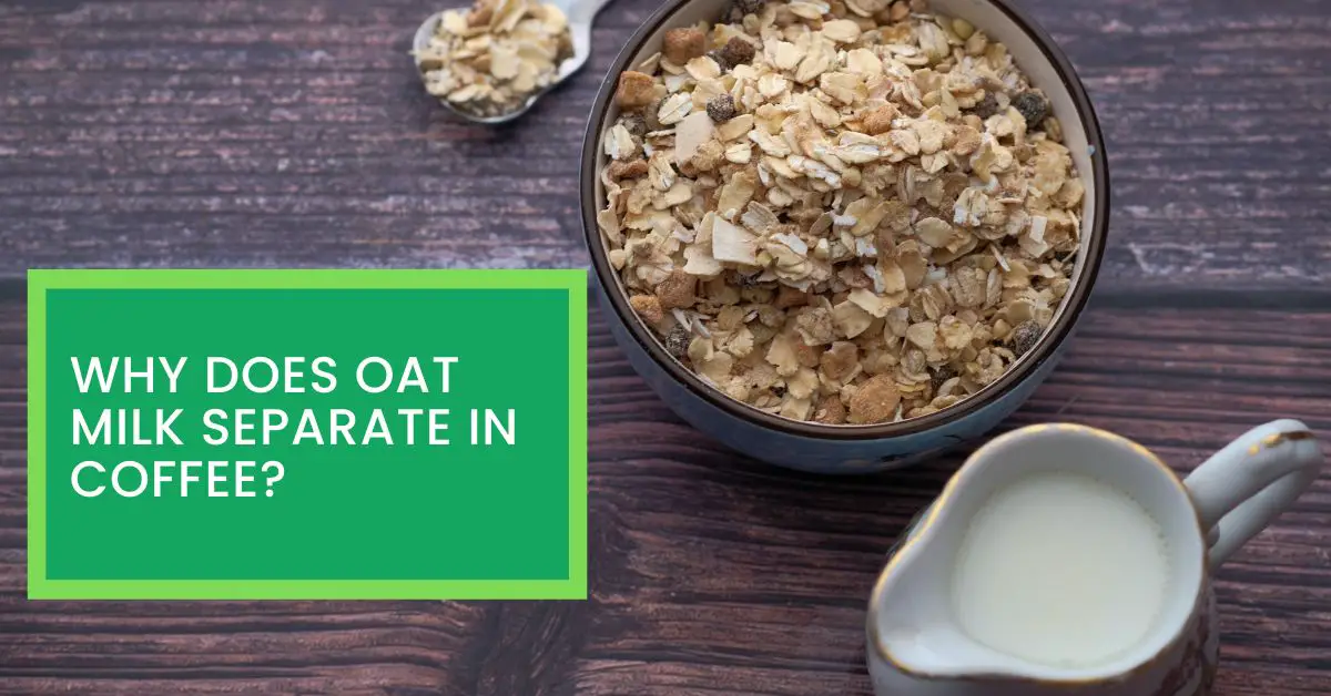 Why Does Oat Milk Separate in Coffee? Read This to Find Out Whether Oat