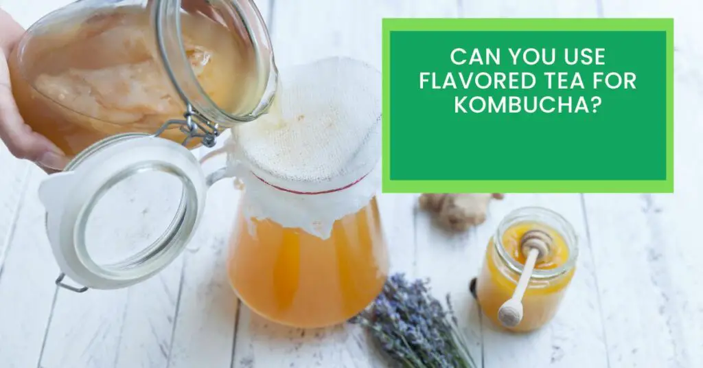 Can You Use Flavored Tea For Kombucha?