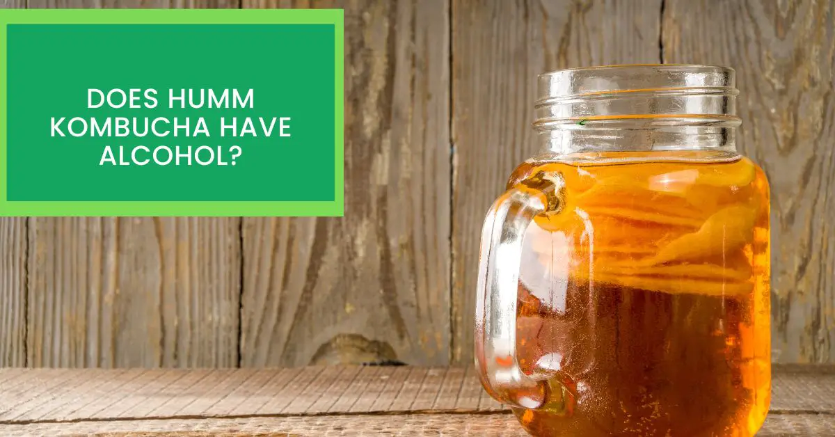 Does Humm Kombucha Have Alcohol? Read This to Find Out About The