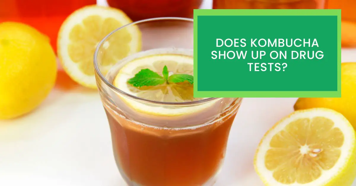 Does Kombucha Show up on Drug Tests? Things You Should Know About