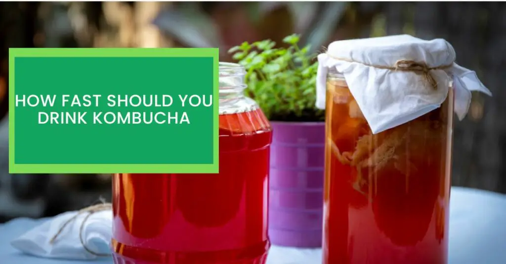 How Fast Should You Drink Kombucha? Things You Should Know About How to Consume Kombucha.