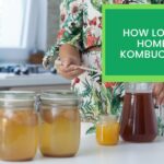 How Long Does Homemade Kombucha Last?