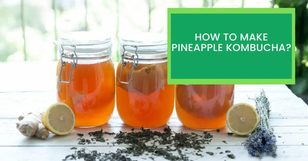 How to Make Pineapple Kombucha?