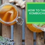 How to Take Care of Kombucha SCOBY