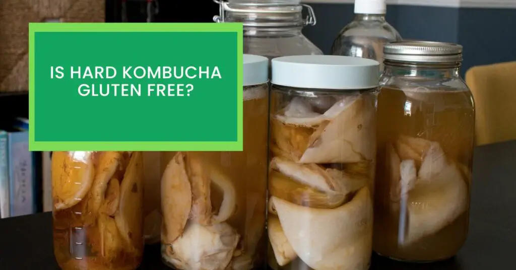 Is Hard Kombucha Gluten Free?