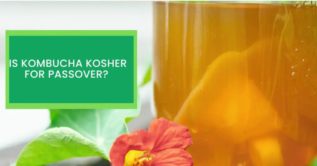 Is Kombucha Kosher For Passover?