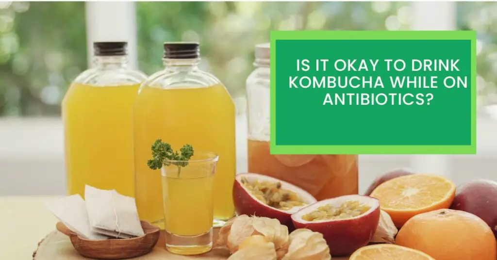 Is it Okay to Drink Kombucha While on Antibiotics?