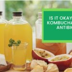 Is it Okay to Drink Kombucha While on Antibiotics?