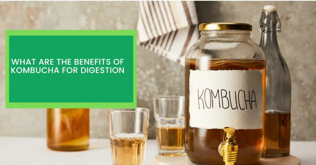 What Are The Benefits of Kombucha For Digestion