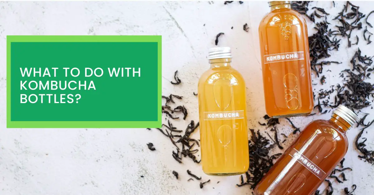 What to do With Kombucha Bottles? Read This to Find Out What You Can Do