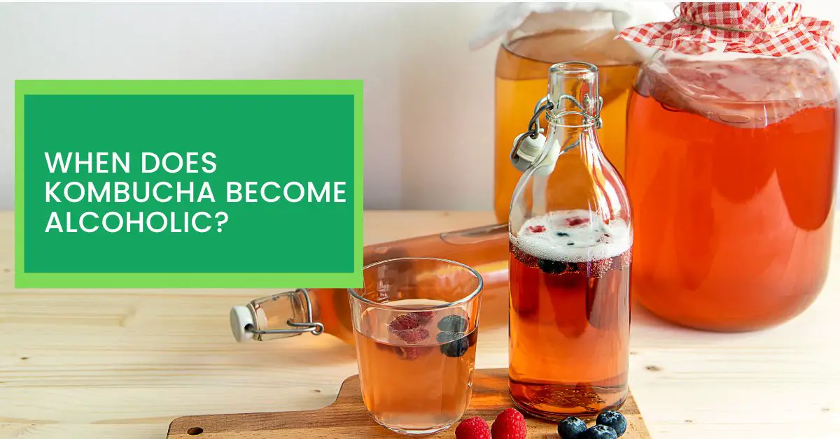 When Does Kombucha Alcoholic? Read This to Find Out When