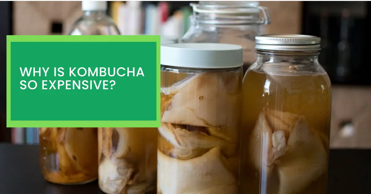 Why is Kombucha so Expensive?