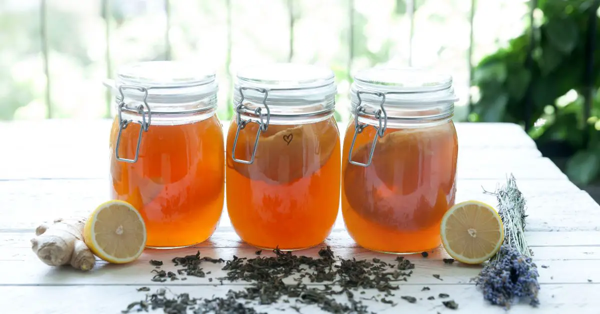 Can Drinking Kombucha Cause Diarrhea? Read This to Find Out Whether