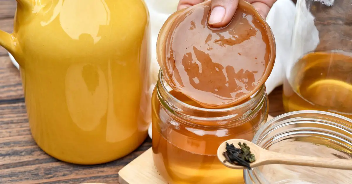 Can Drinking Too Much Kombucha Make You Sick? Read This to Find Out