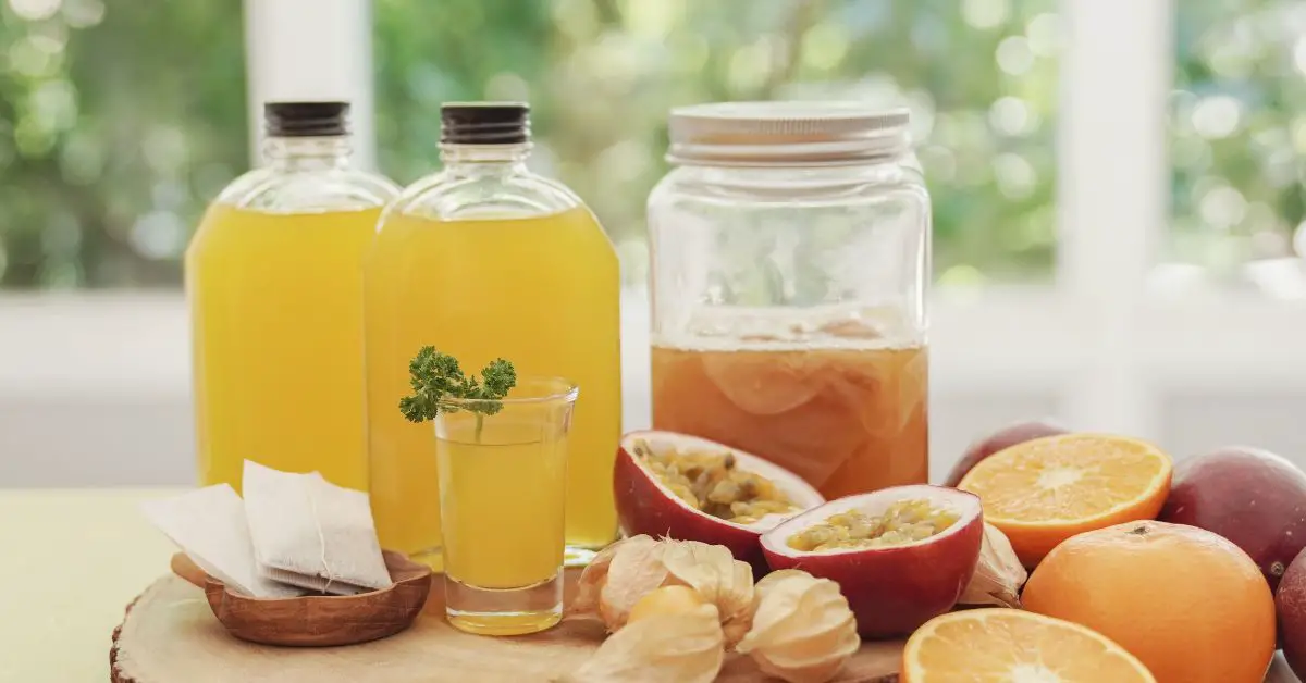 Can Mormons Drink Kombucha? Read This to Find Out Whether Mormons Drink