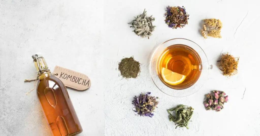 Can You Make Kombucha With Herbal Tea?