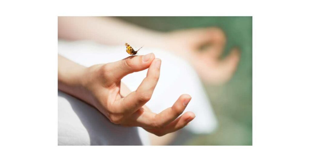 Can meditation cure diabetes