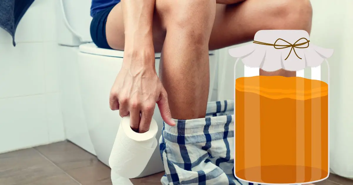 Does Kombucha Make You Poop?