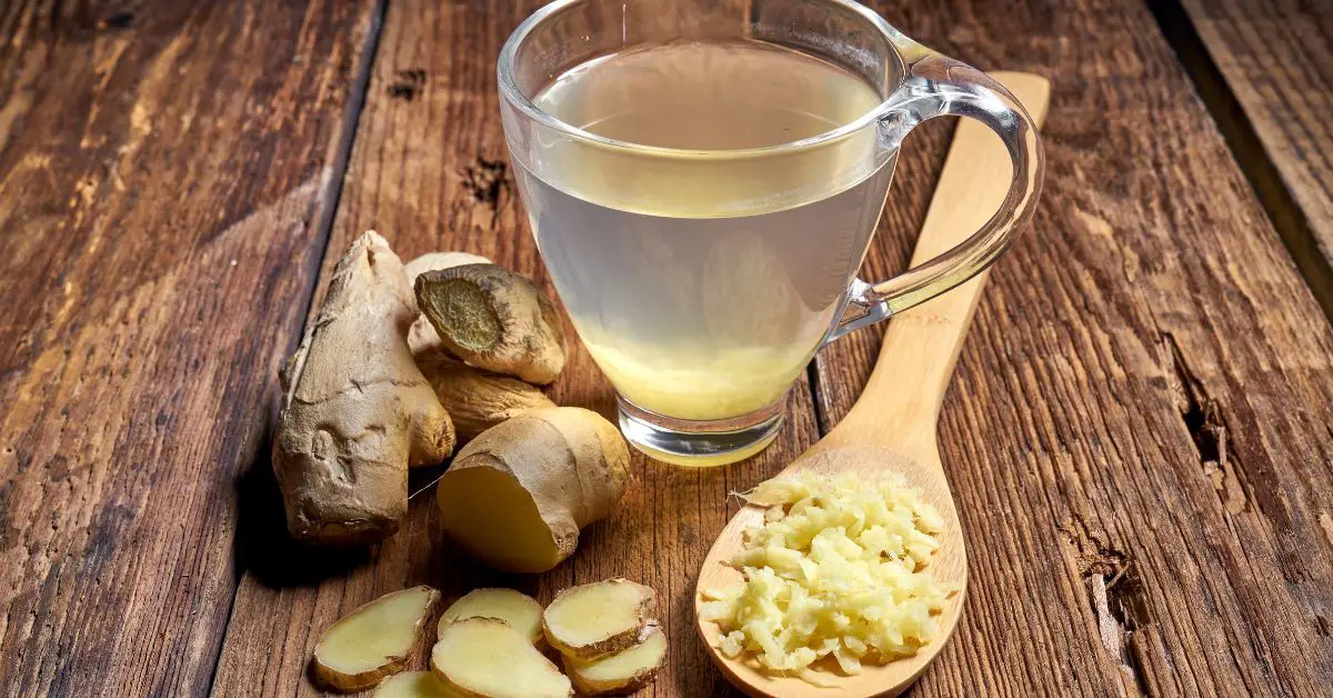Does Simple Truth Organic Ginger Green Tea Have Caffeine? Read This to