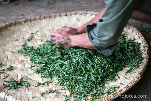 How to Roll Tea Leaves?