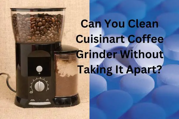 Can You Clean Cuisinart Coffee Grinder Without Taking It Apart