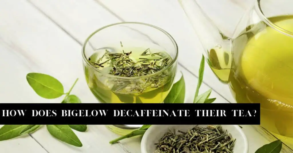 How Does Bigelow Decaffeinate Their Tea?