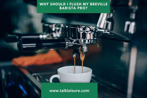 Why Should I Flush My Breville Barista Pro?