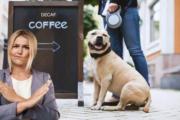 Why You Should Not Give Decaf Coffee to Dogs