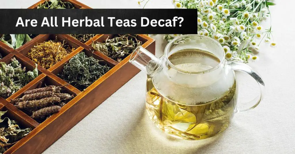 Are All Herbal Teas Decaf?