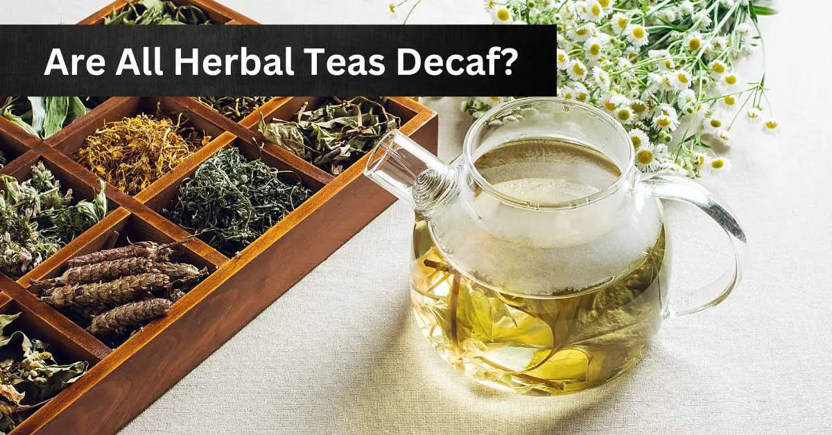 Are All Herbal Teas Decaf? Everything You Need to Know About Herbal Tea