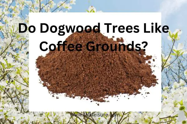 Are Coffee Grounds Are Good For Dogwood Trees
