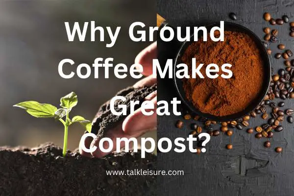 Are Coffee Grounds Good For Poinsettias