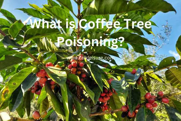 Are Coffee Plants Poisonous To Cats