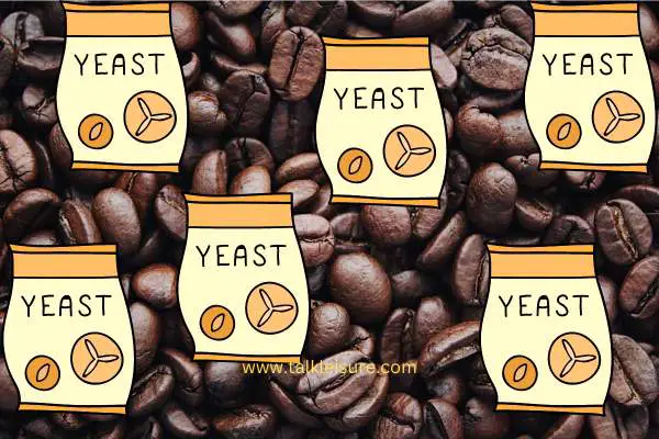 Does Coffee Have Yeast