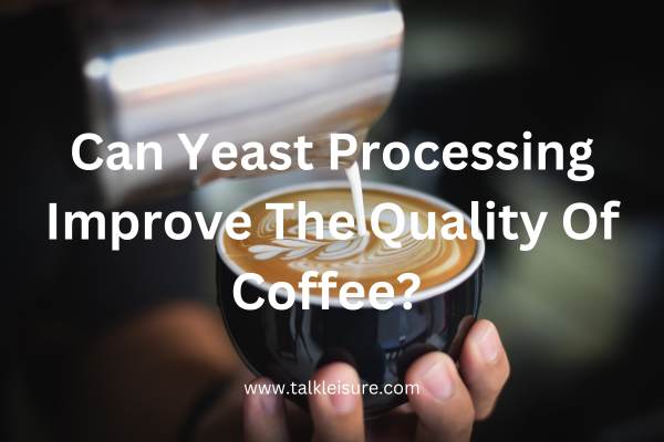 Does Coffee Have Yeast