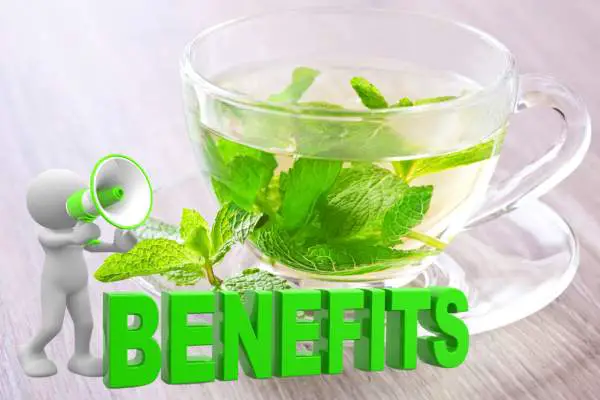 Health Benefits of Drinking Peppermint Tea