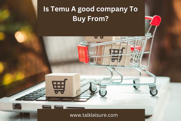 Is Temu A Good Company To Buy From?