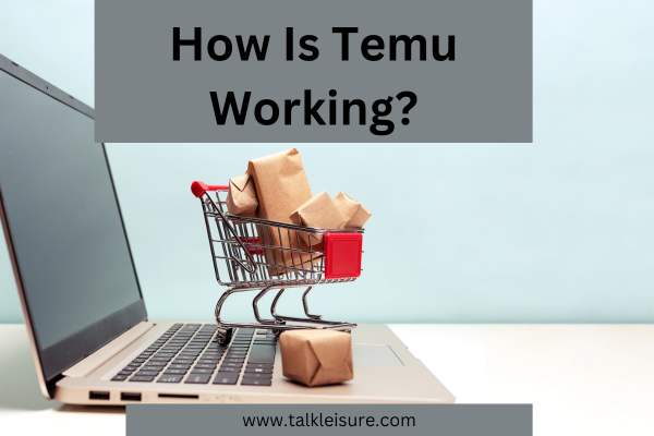 How Is Temu Working?
